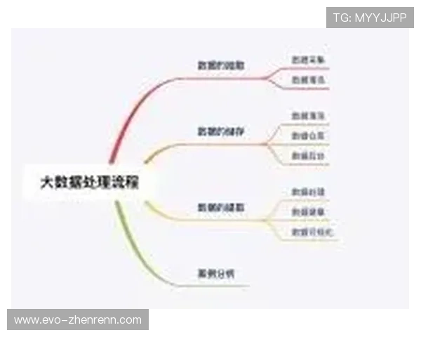 必赢网址的选择指南：如何找到最适合你的在线平台